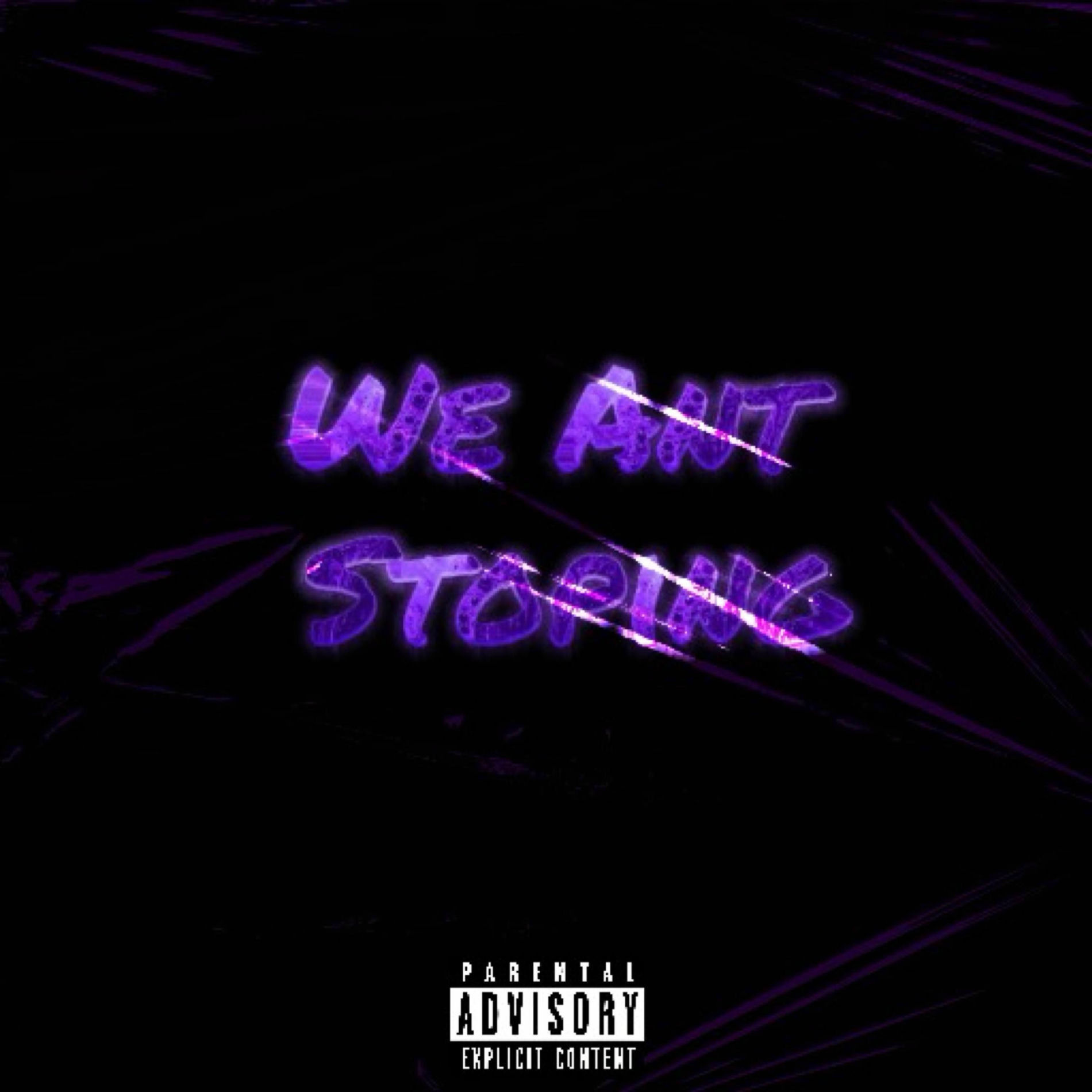 Album cover of We Ant Stopping