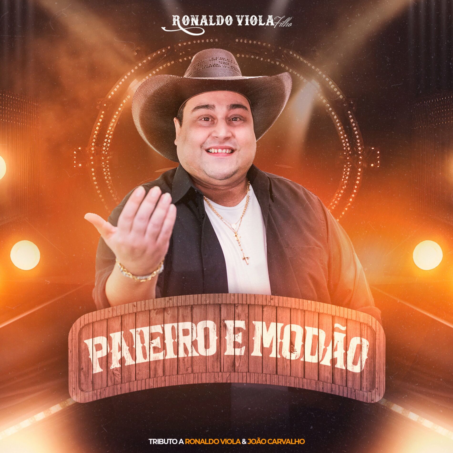 Album cover of Paieiro e Modão - Tributo a Ronaldo Viola & João Carvalho