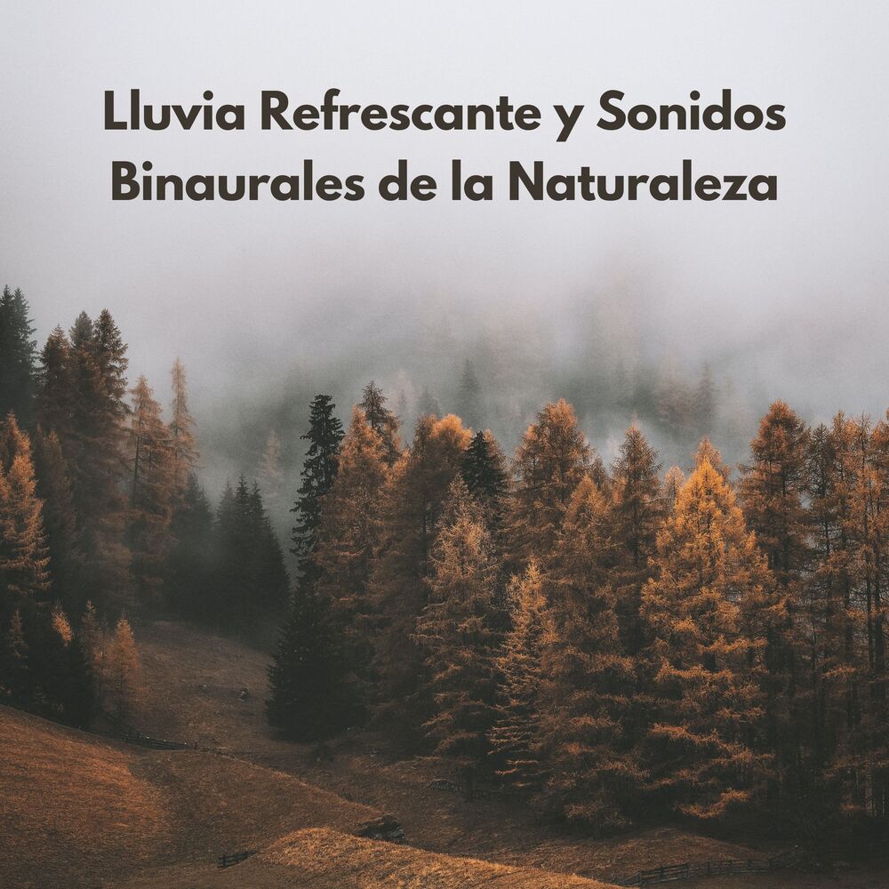 Picture of Lluvia Refrescante Y Sonidos Binaurales De La Naturaleza