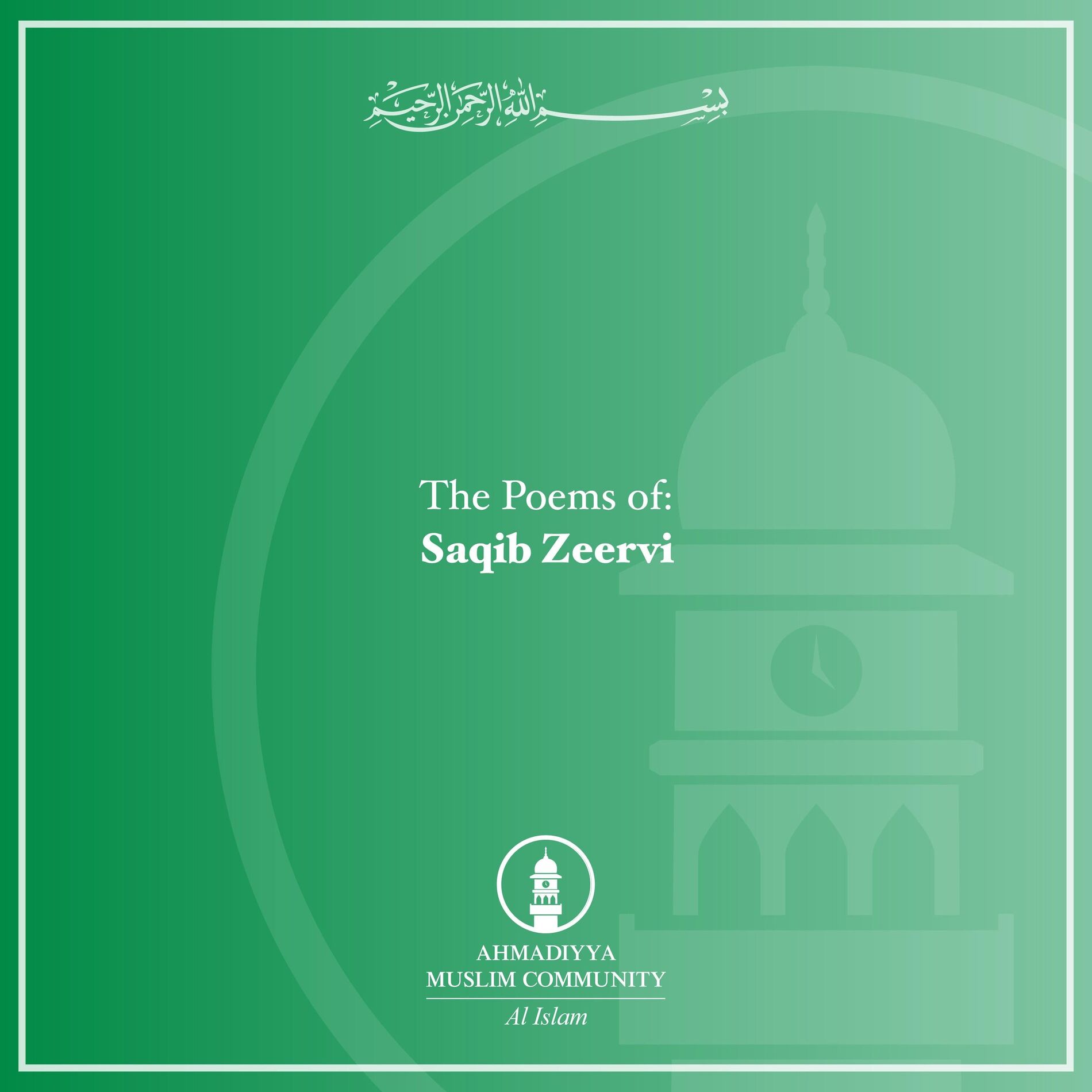 Album cover of Saqib Zeervi