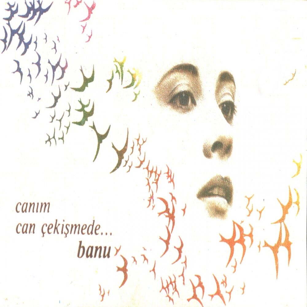 Picture of Canım Can Çekişmede