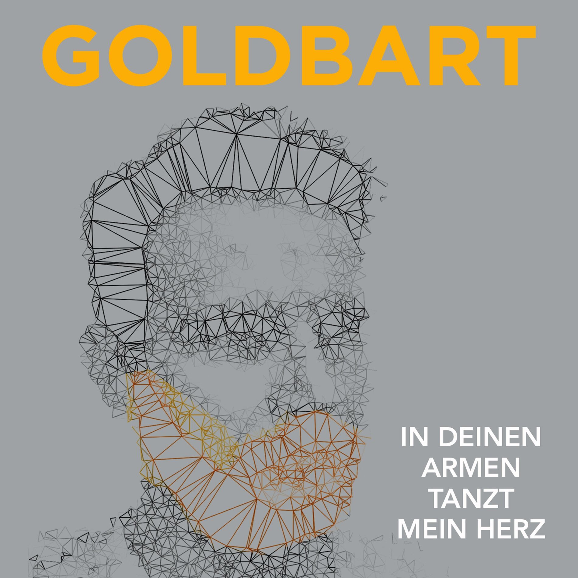 Album cover of In deinen Armen tanzt mein Herz