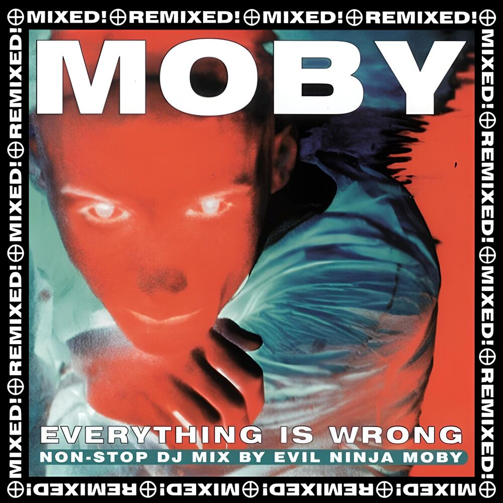 Picture of Everything Is Wrong: Non-stop DJ Mix By Evil Ninja Moby