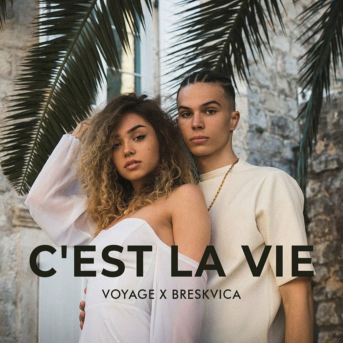 Album cover of C'est la vie
