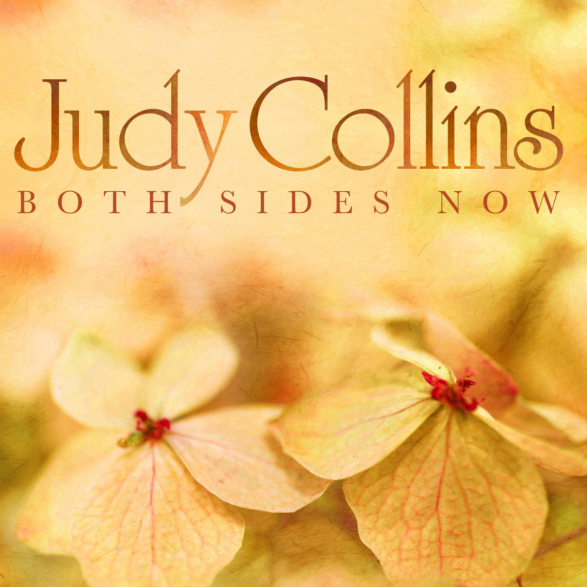 Album cover of Bird On a Wire
