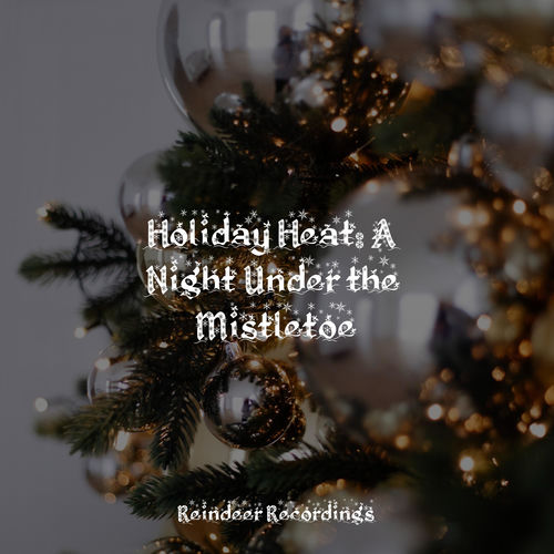 Holiday Heat: A Night Under the Mistletoe