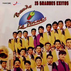 Cover of 15 Grandes Éxitos