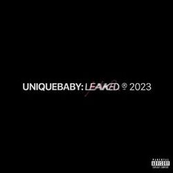 Cover of Leaked