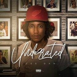 Cover of UnderRated