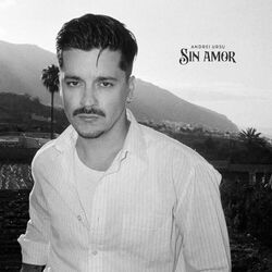 Sin Amor