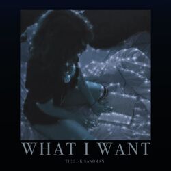 Cover of What I Want