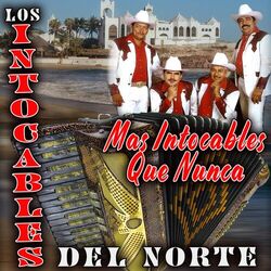 Cover of Más Intocables Que Nunca