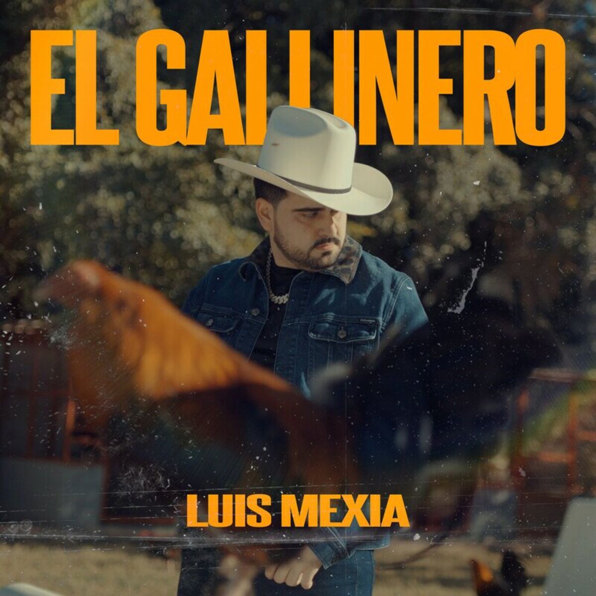 Album cover of El Gallinero