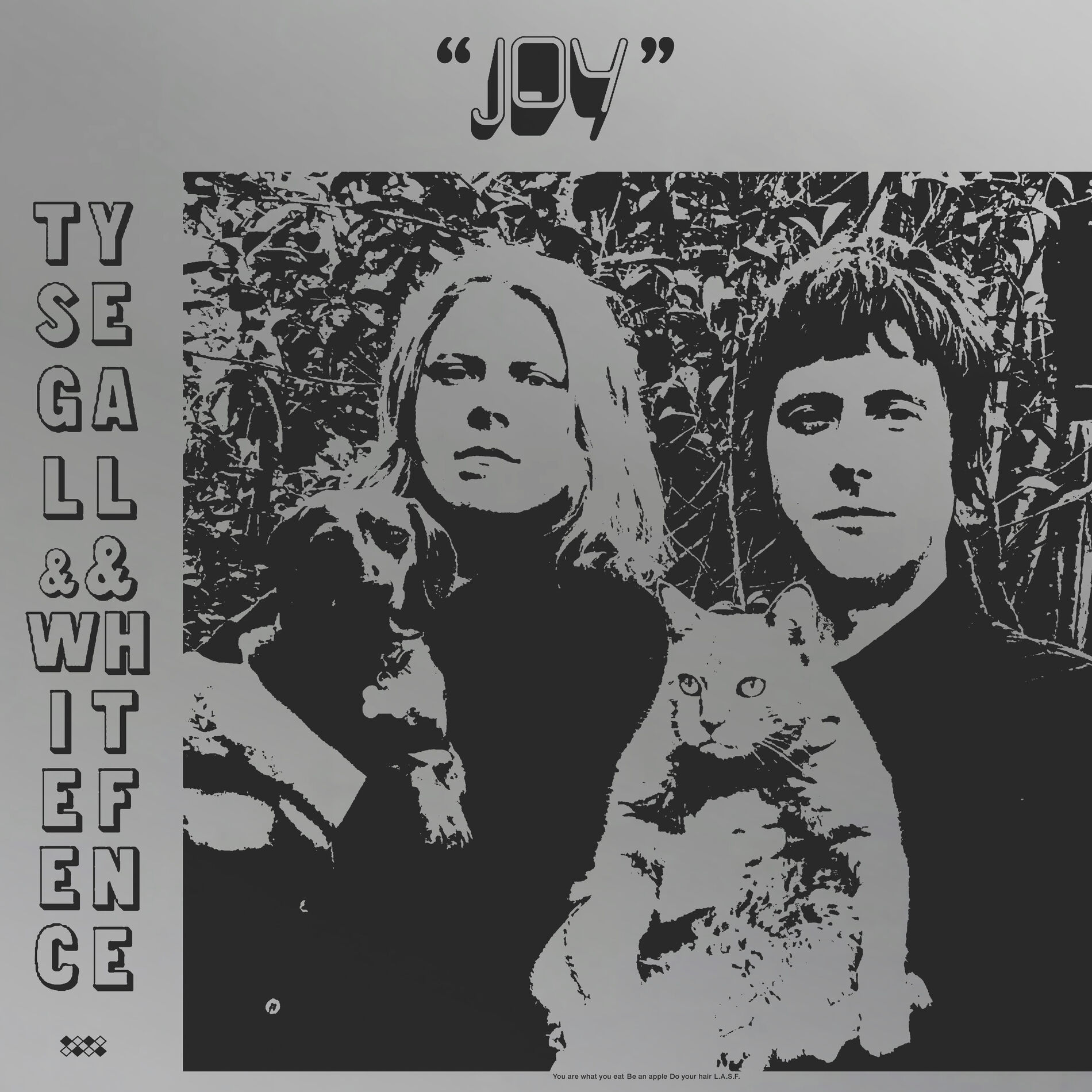 Album cover of Joy