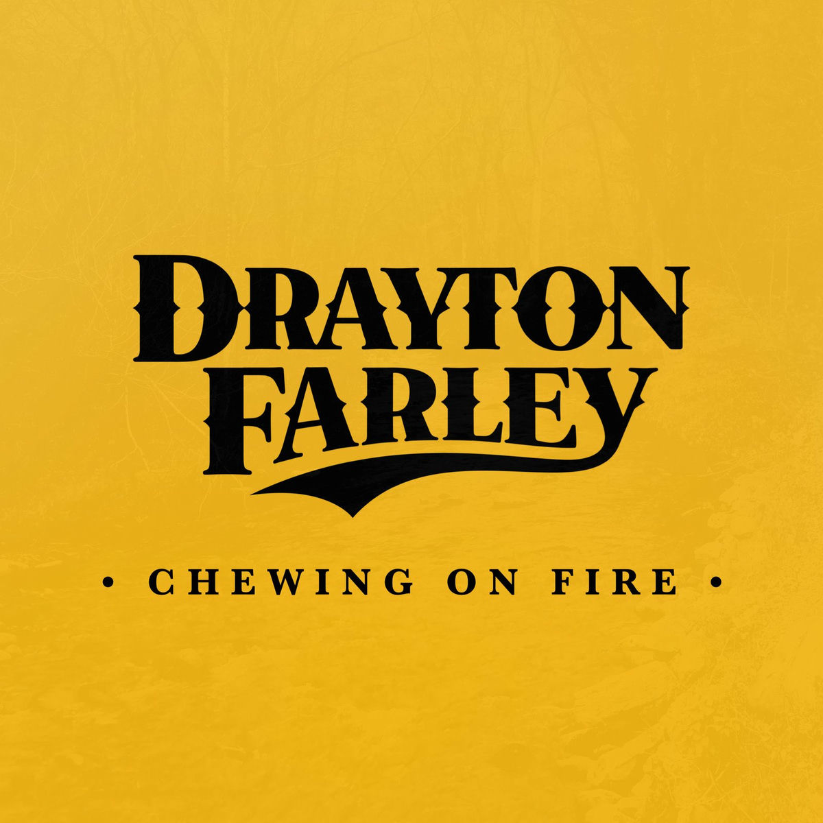 Album cover of Chewing on Fire