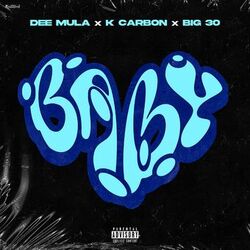 Cover of Baby