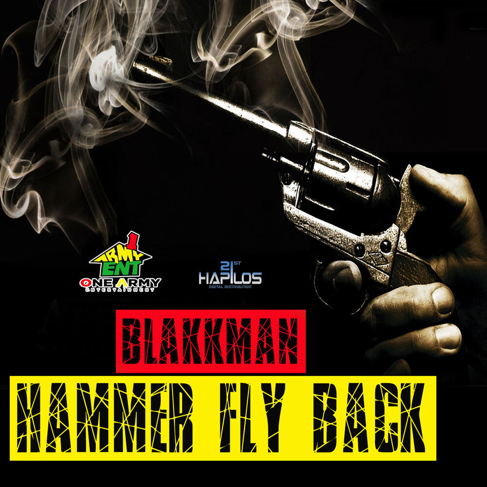 Picture of Hammer Fly Back - Single