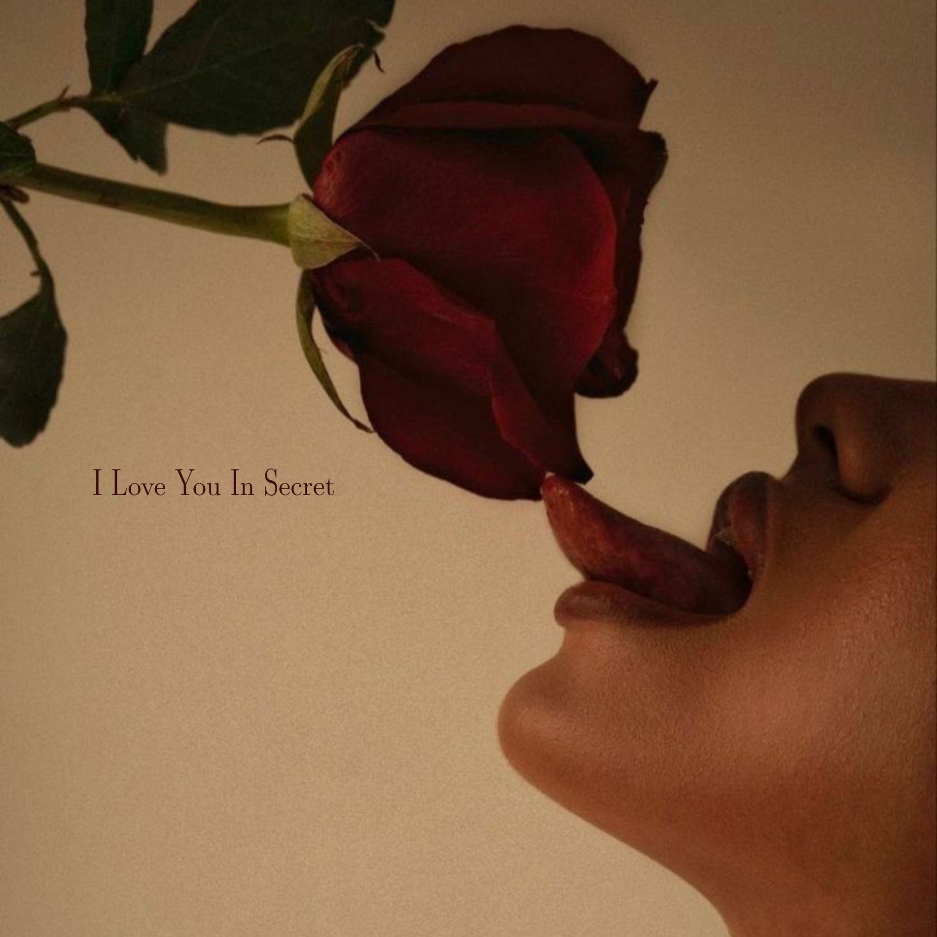 Album cover of I Love You In Secret