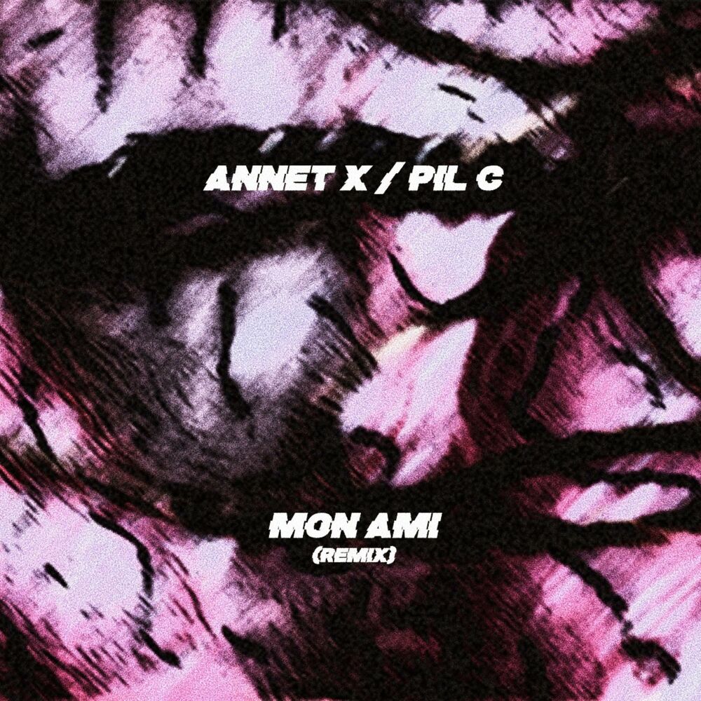 Picture of Mon Ami (feat. Pil C)