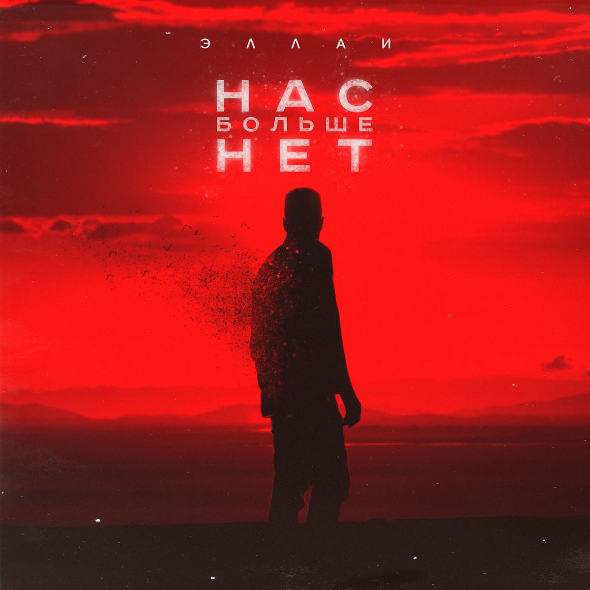 Album cover of Nas bol'she net