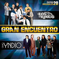 Cover of Gran Encuentro (20 Éxitos Originales)