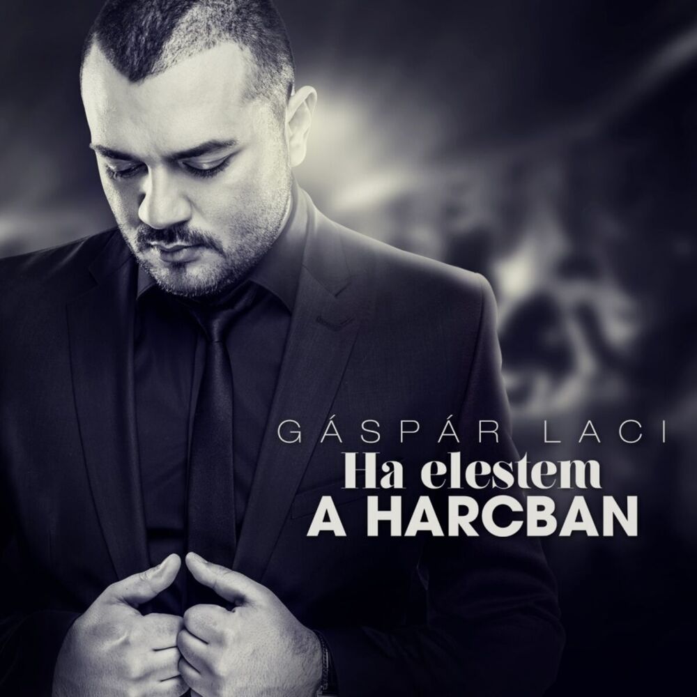 Picture of Ha Elestem A Harcban