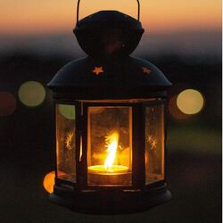 Cover of In The Light