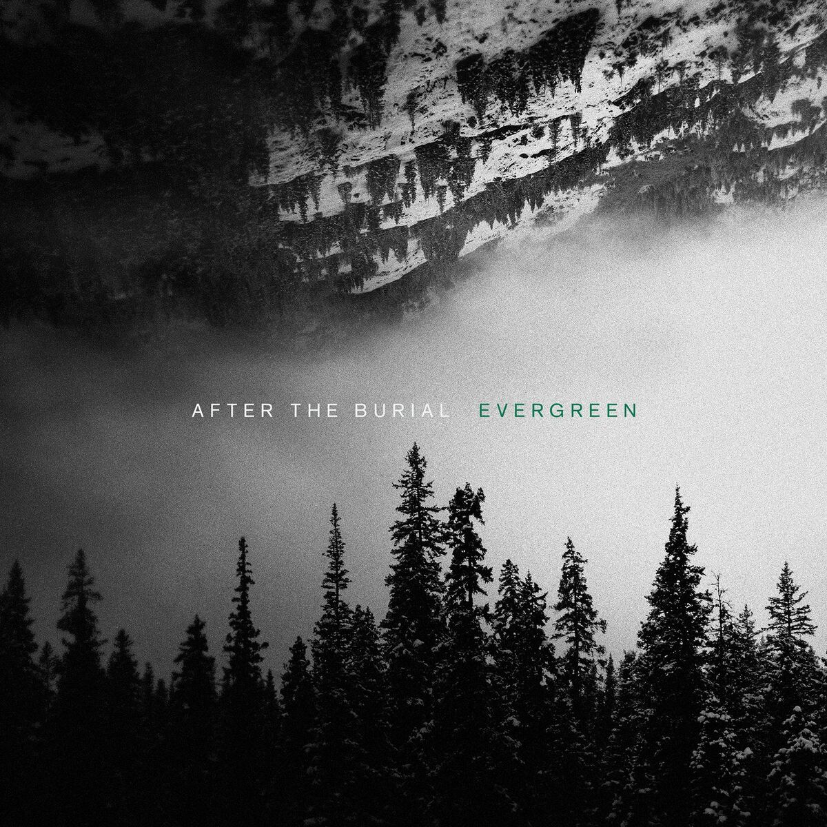 Album cover of Evergreen