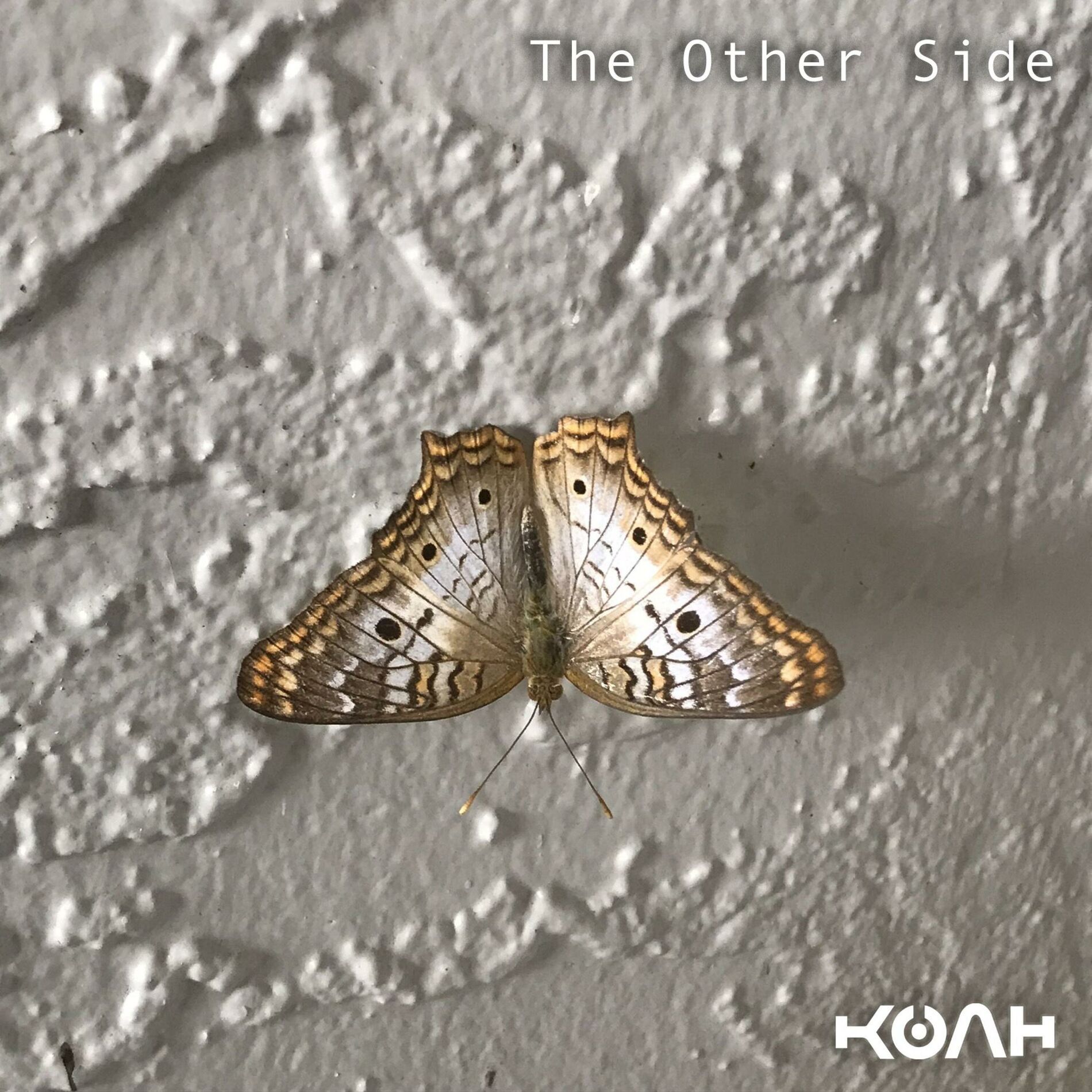 Album cover of The Other Side