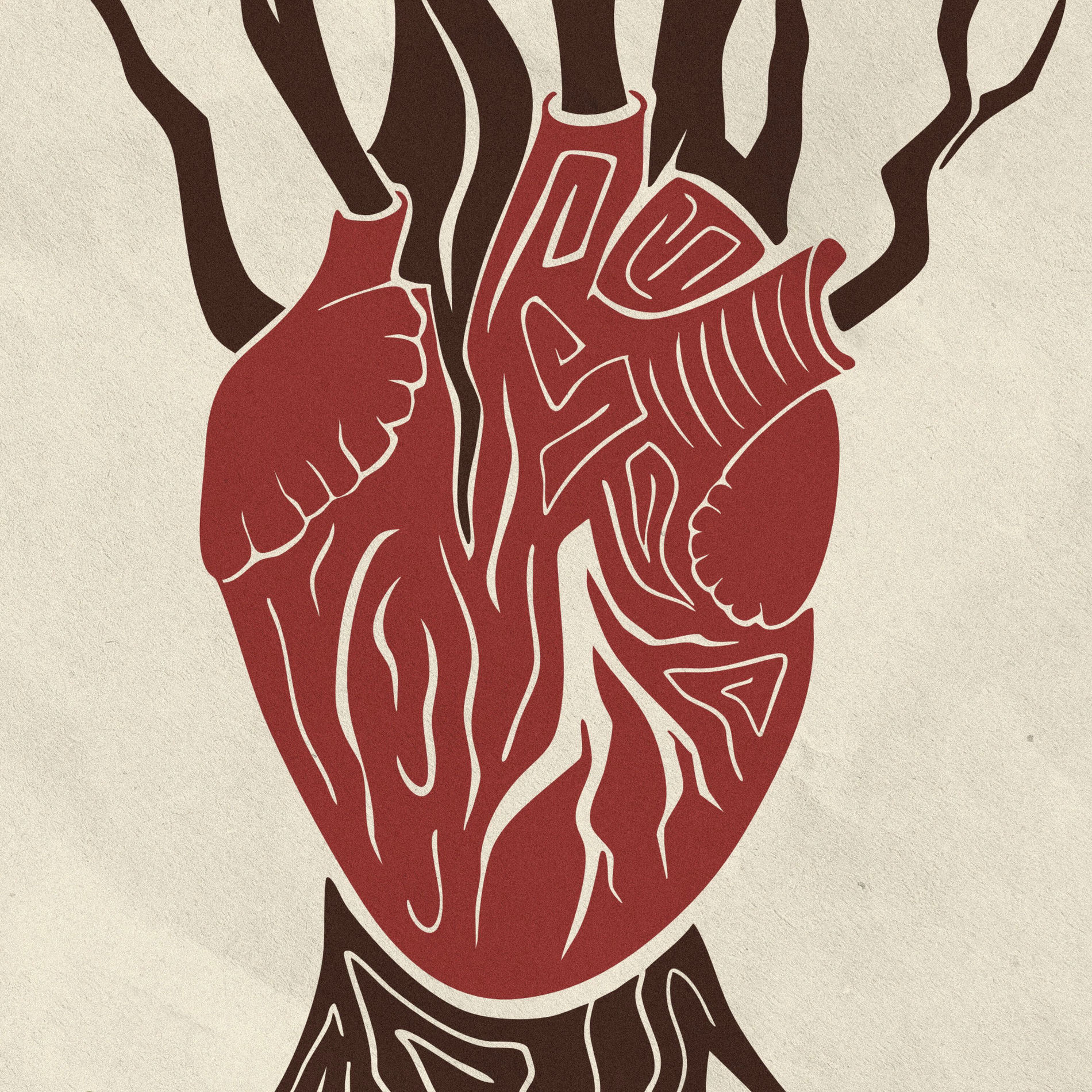 Album cover of O Cerrado Descuidado