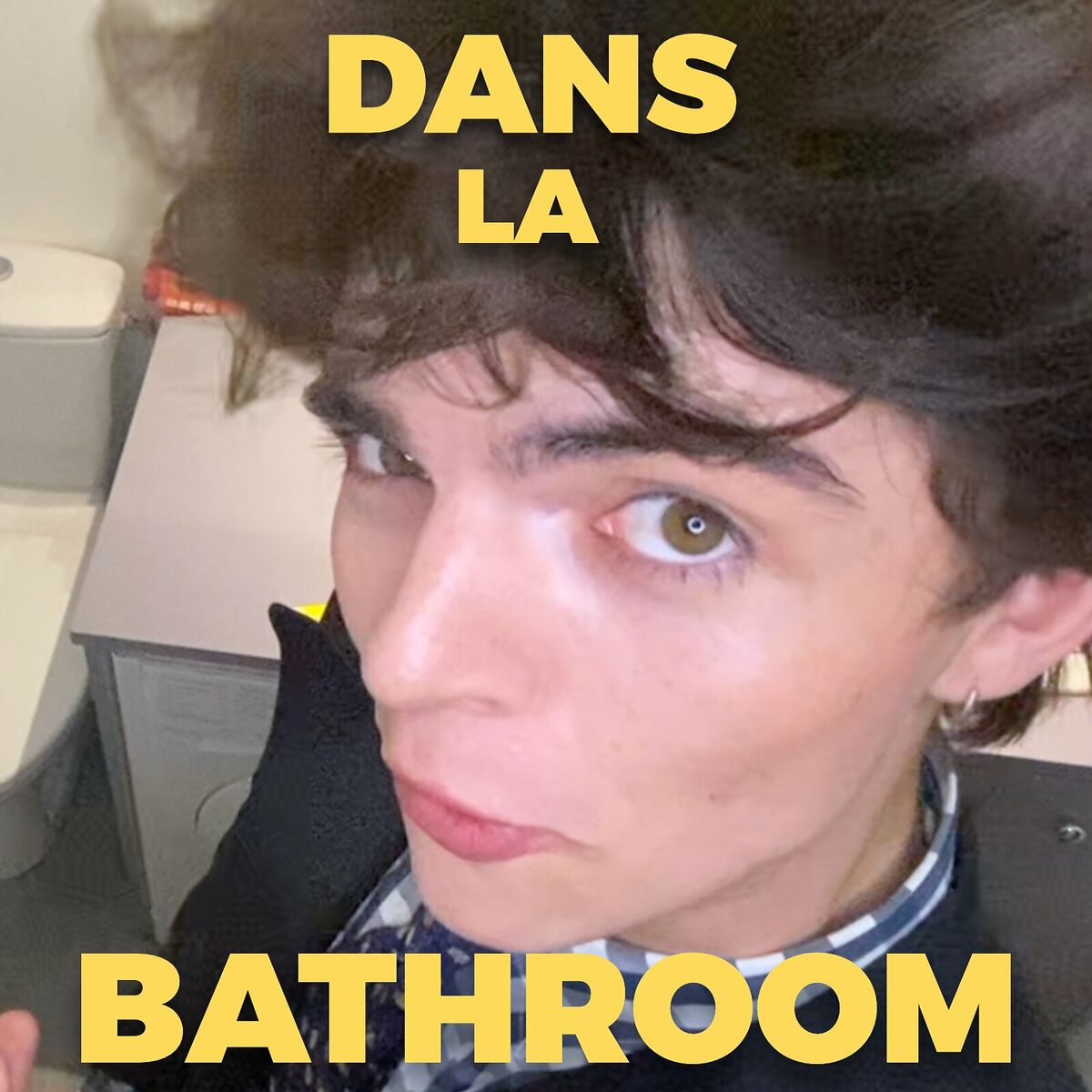 Album cover of Dans La Bathroom