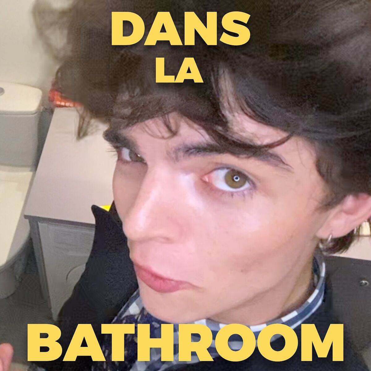 Album cover of Dans La Bathroom