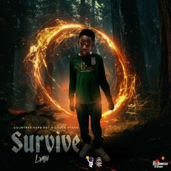 Cover of Survive