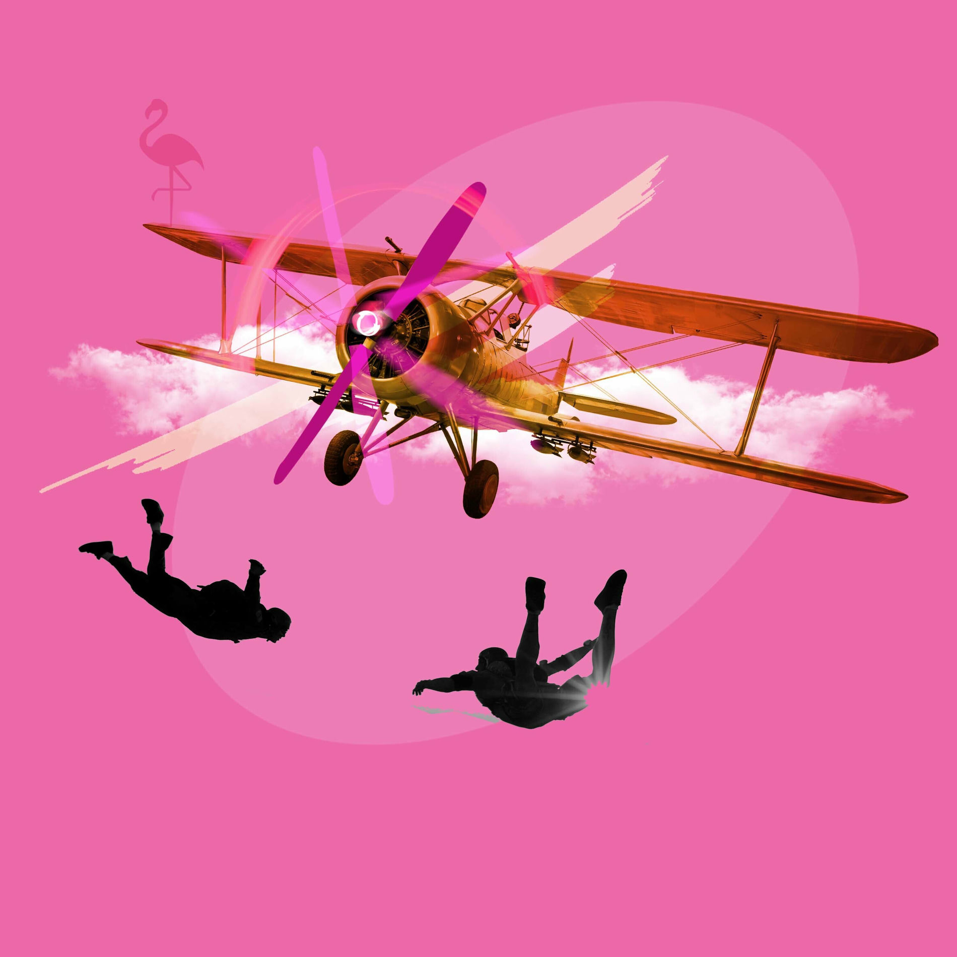 Album cover of Speed Up