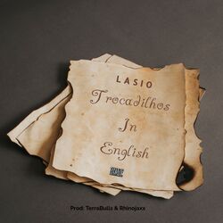 Cover of Trocadilhos in English