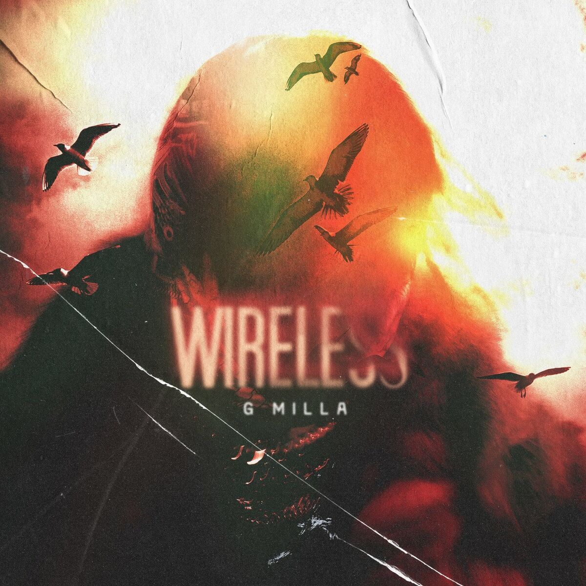Album cover of Wireless