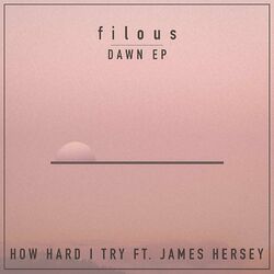 Cover of How Hard I Try
