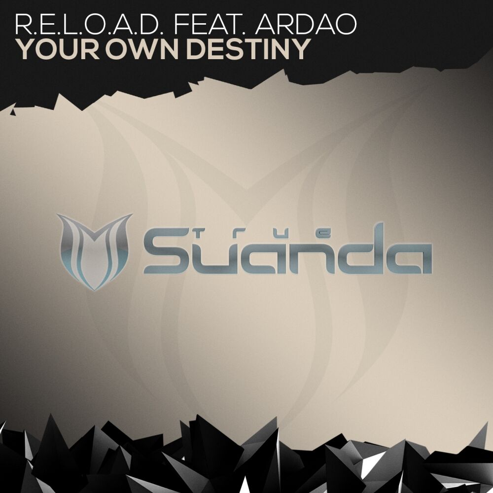 Picture of Your Own Destiny