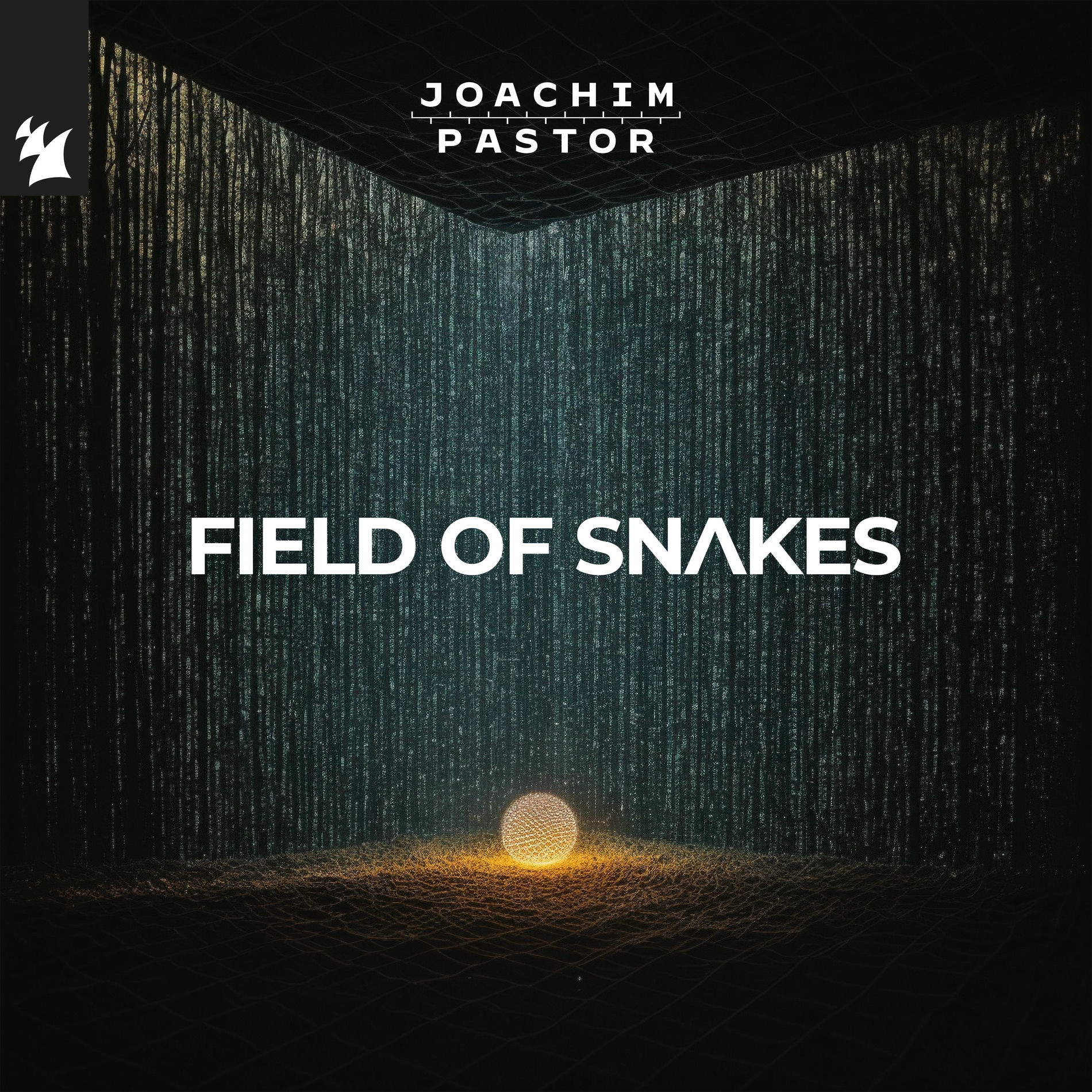 Album cover of FIELD OF SNAKES