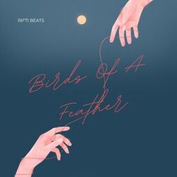Cover of BIRDS OF A FEATHER (Lofi Version)