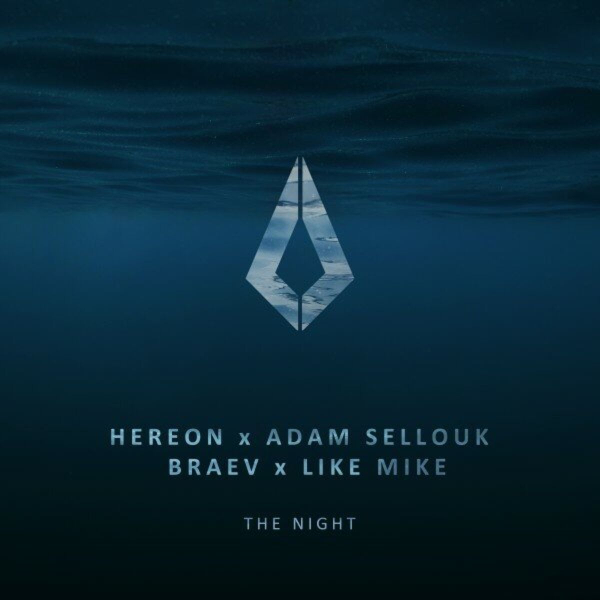 Album cover of The Night