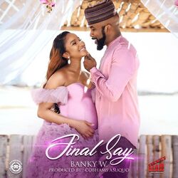Cover of Final Say