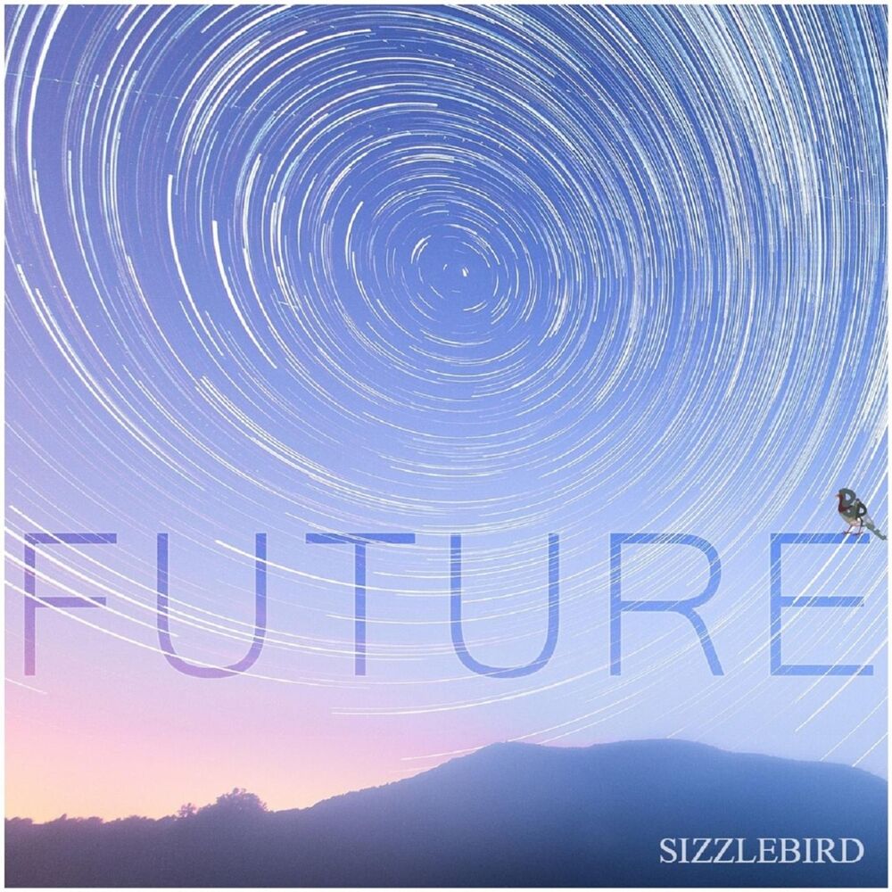 Picture of Future