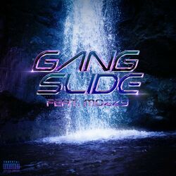 Cover of Gang Slide
