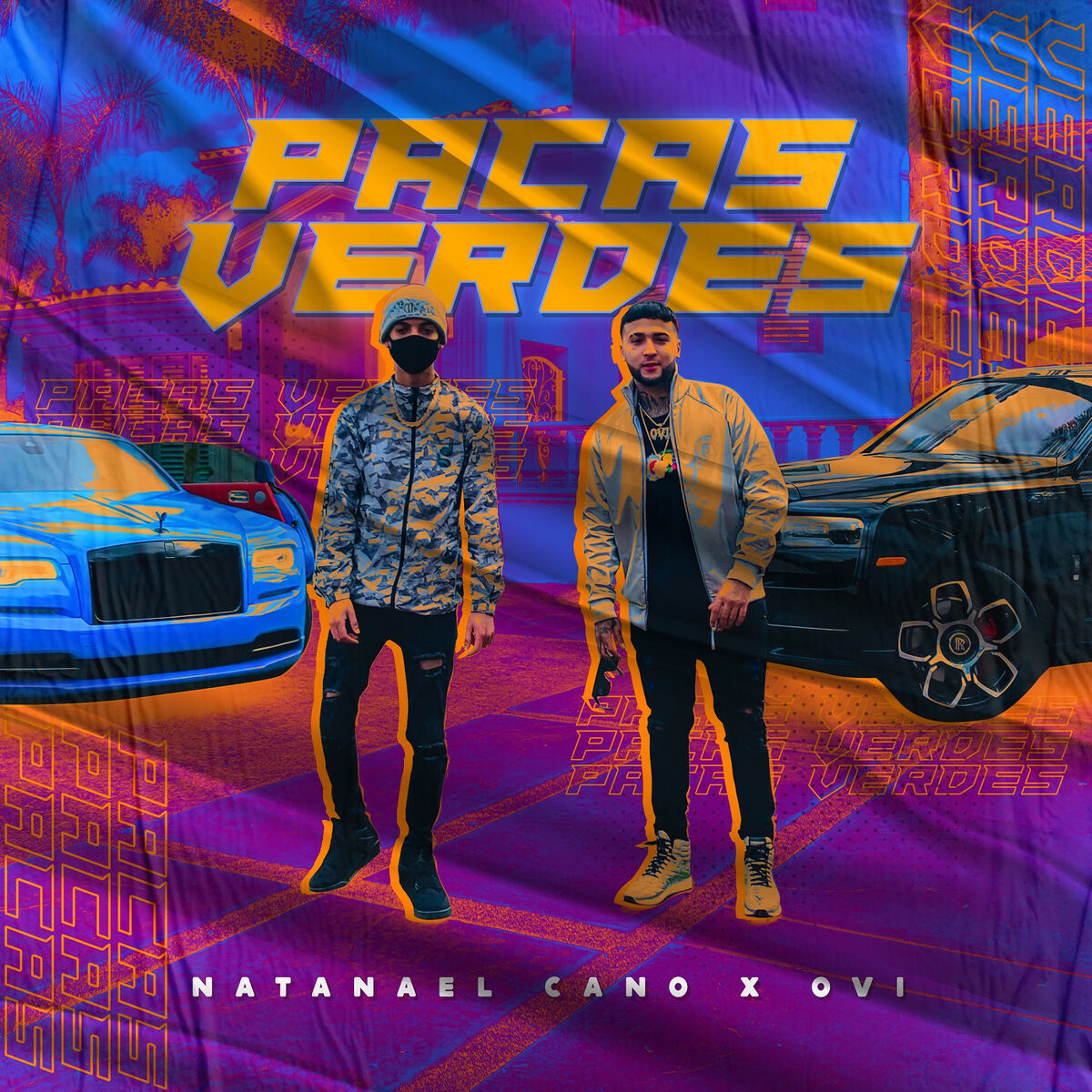 Album cover of Pacas Verdes