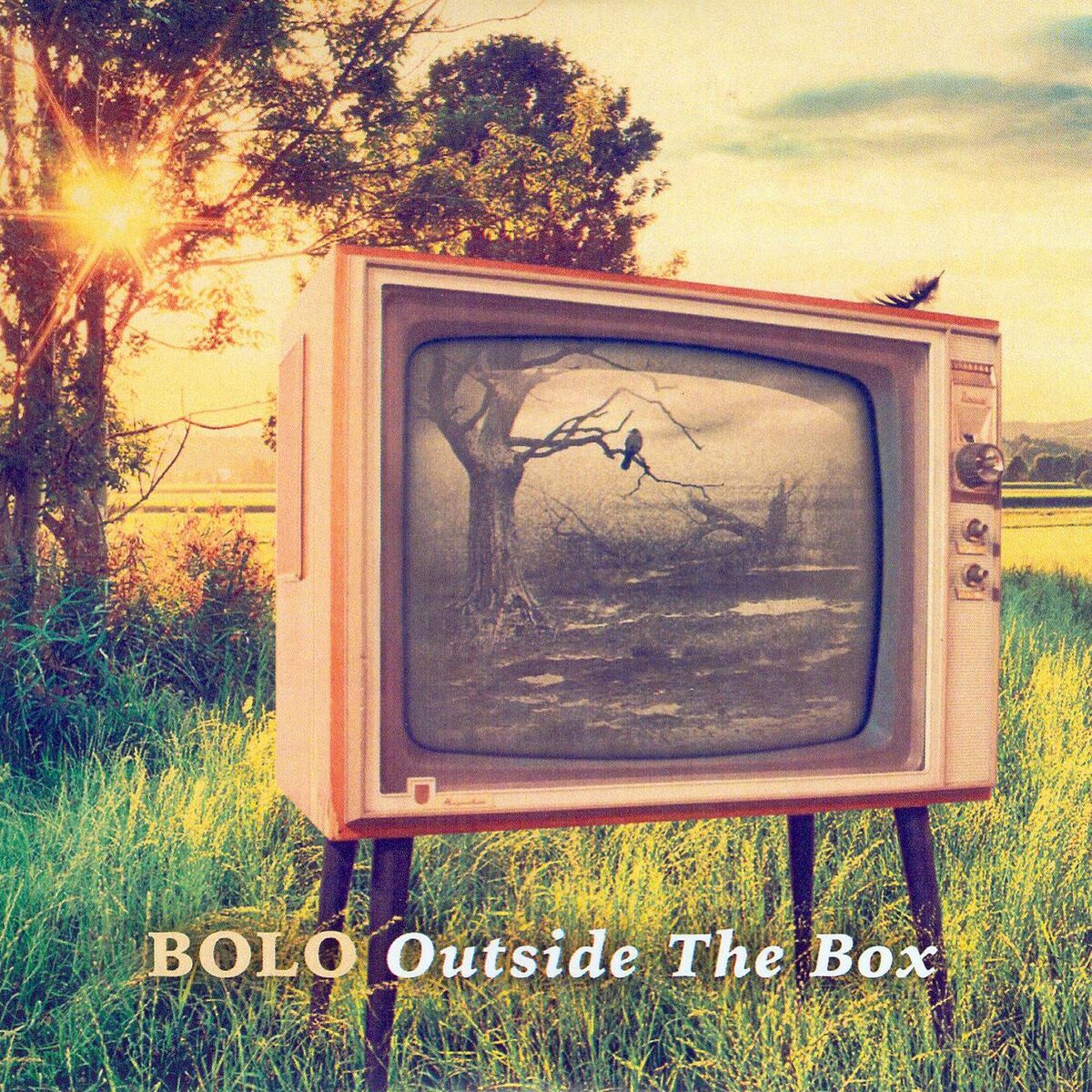 Album cover of Outside The Box (0)