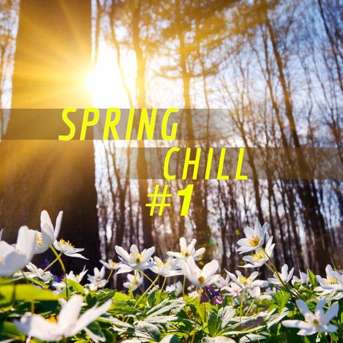Album cover of Spring Chill #1