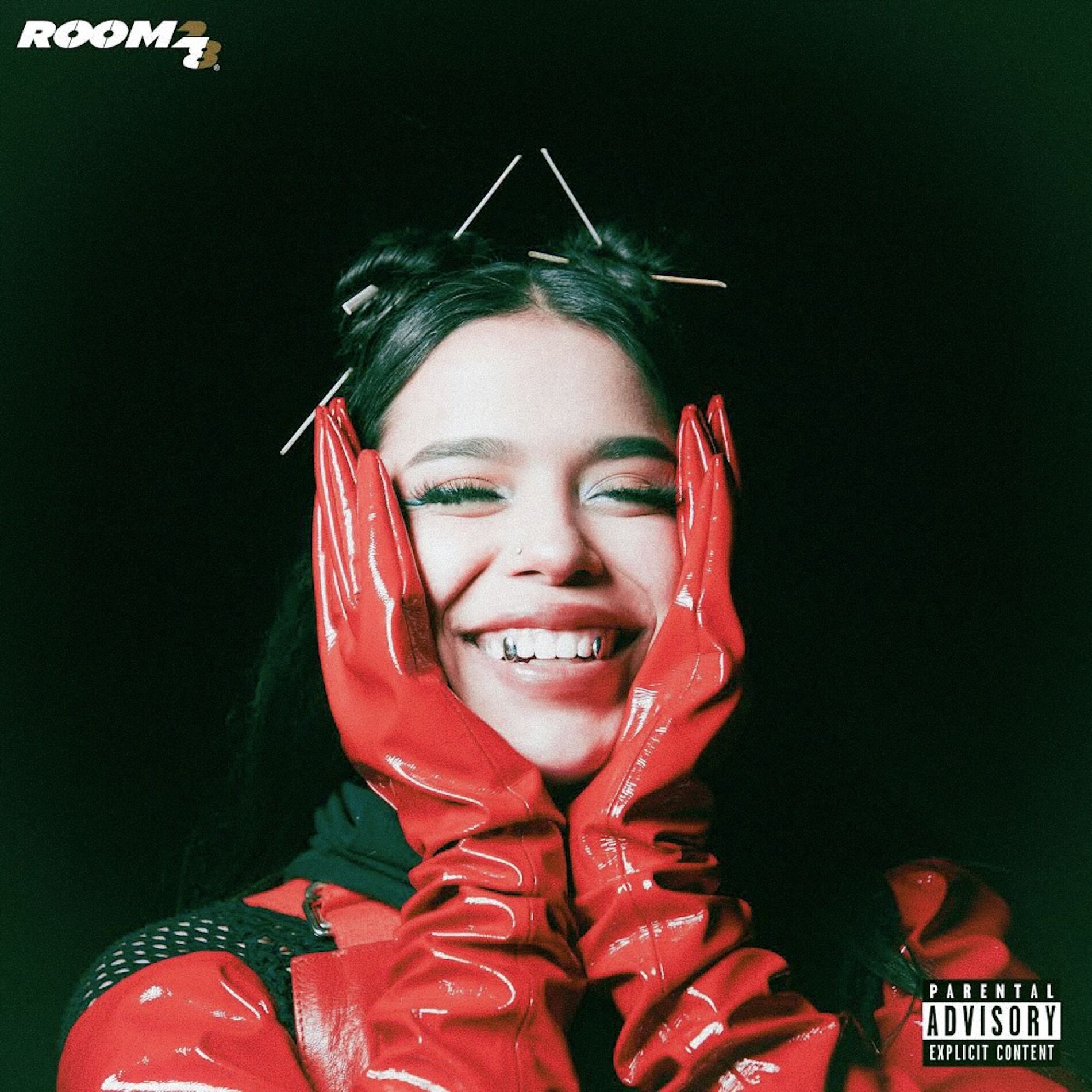 Album cover of APAGAITA