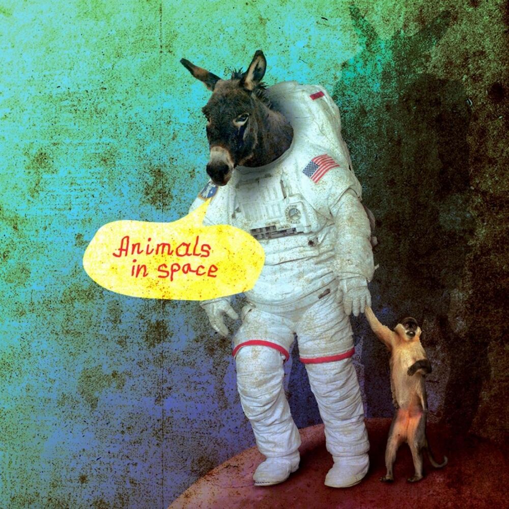 Picture of Animals In Space