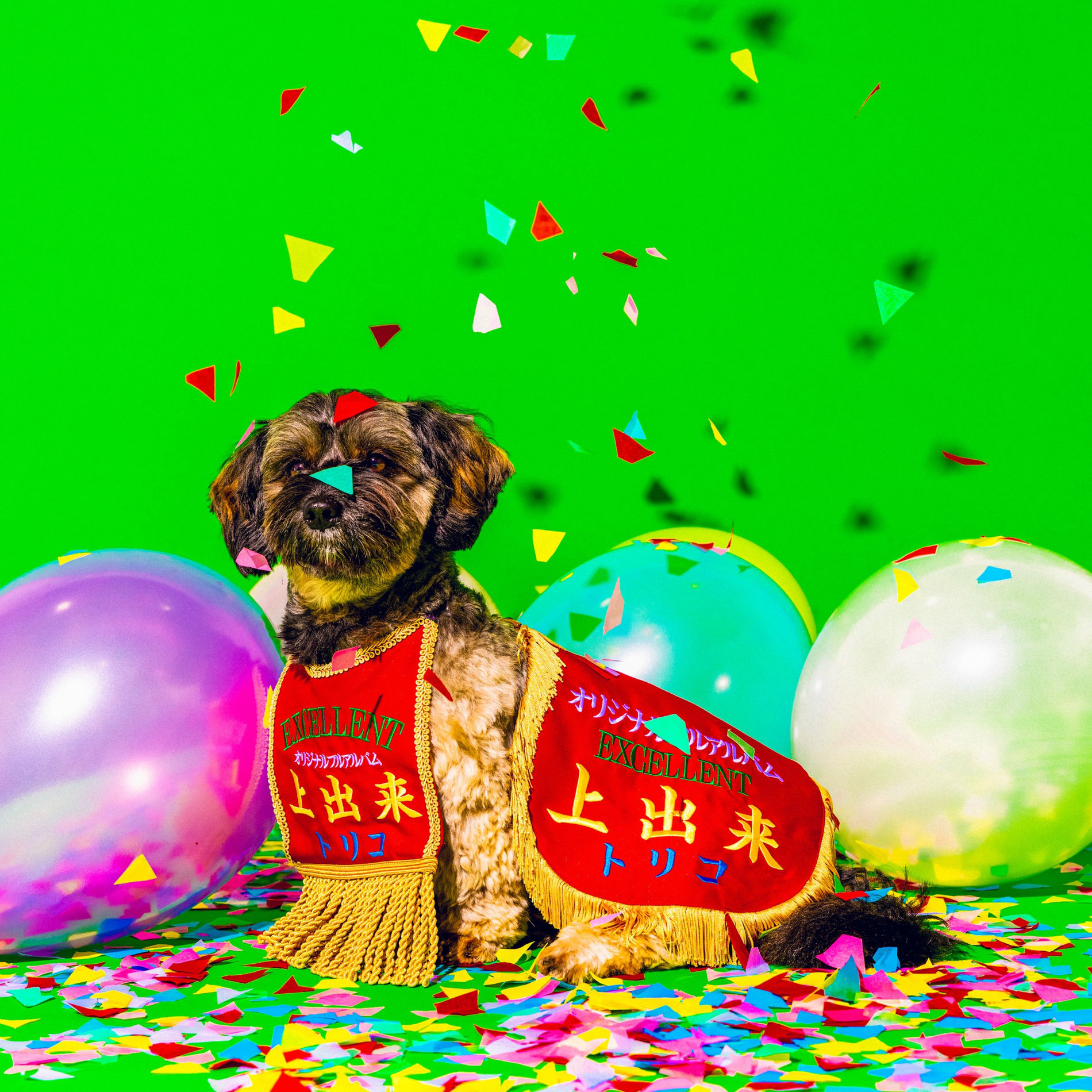 Album cover of 夜の魔物